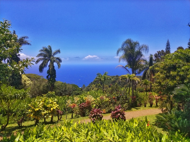 Maui Island Hawaii 