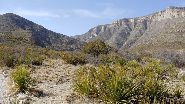 McKittrick Canyon in Guadalupe Mountains National Park  x  
