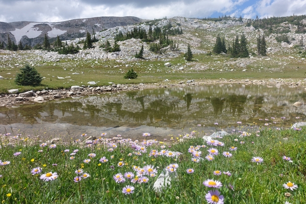 Meadows and tarns galore at Medicine Bow Mountain WY 