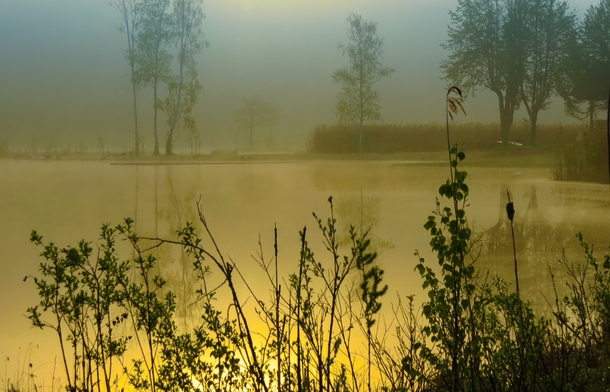 Medvkas lake Varna district Lithuania 
