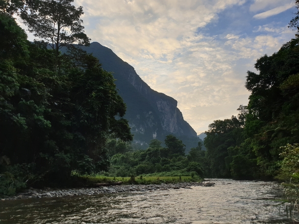 Melinau Gorge Mulu National Park - Sarawak 