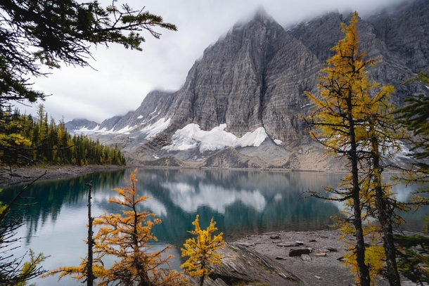 Mesmerizing lake and golden larches in East Kootenay BC 