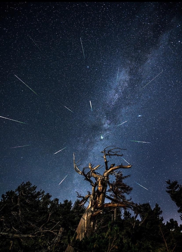 Meteor Shower in Colorado