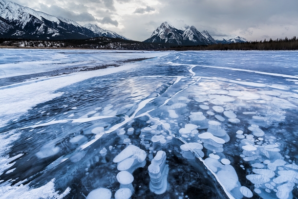 Methane gas bubbles trapped in the ice of Abraham Lake in the Canadian Rockies  by Vicki Mar
