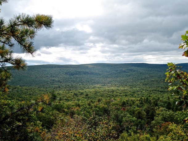 Michaux State Forest Pennsylvania from Sunset Rocks 