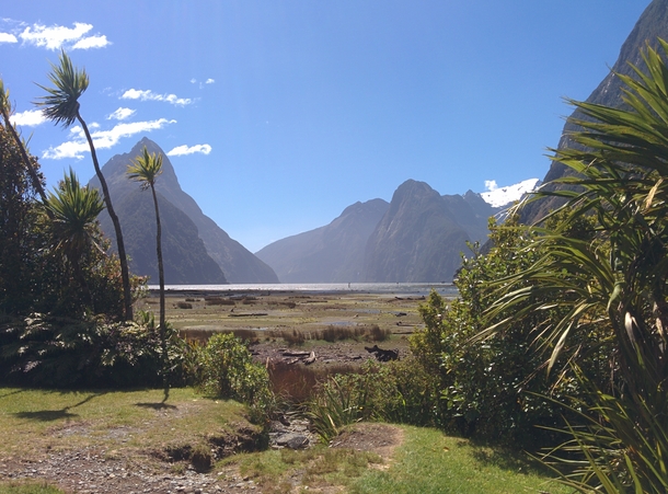 Milford Sound on a sunny day - New Zealand 
