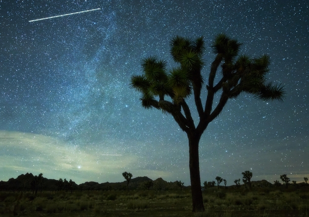 Milky Way Over Joshua Tree NP California 