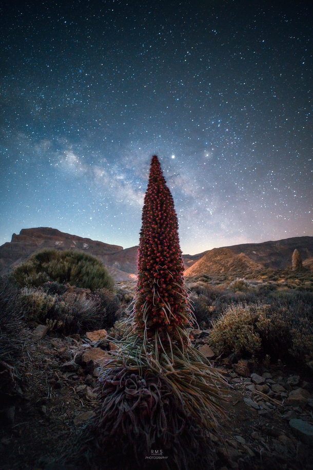 Milky Way over Tajinaste Rojo Teide National Park 