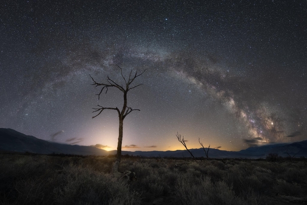 Milky way pano of a lone tree in Death Valley Ca 