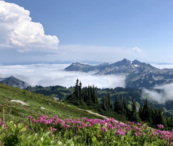 Mingling with clouds in the Central Cascades WA 