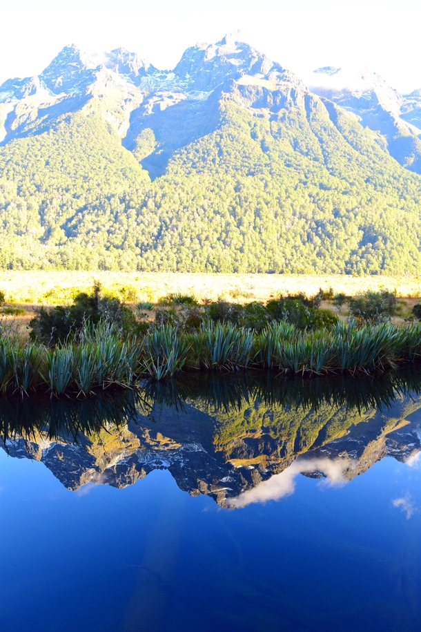 Mirror Lakes- New Zealand-South Island x