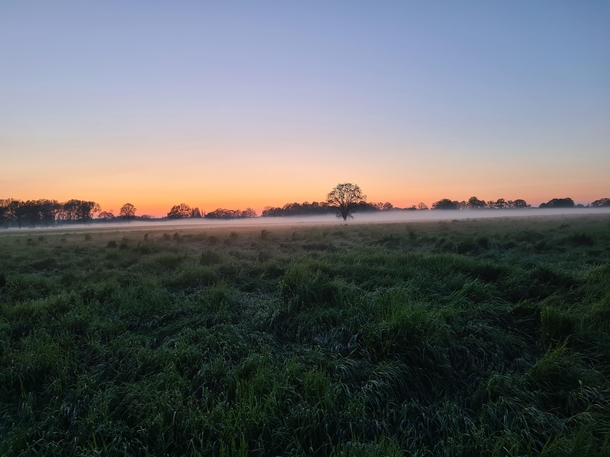 Mist banks rolling over the field behind my house Friesland Netherlands 