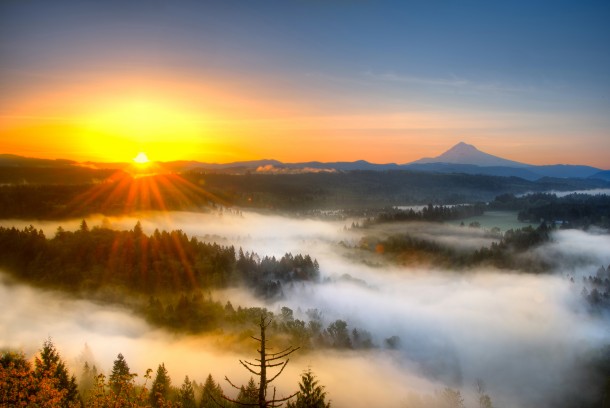 Mist covers the valley below as the sun rises over Jonsrud Viewpoint Oregon 