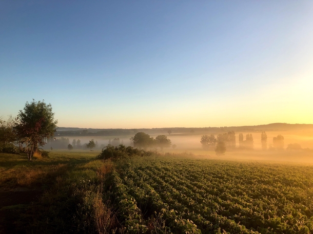 Misty dawn in the Charente France 