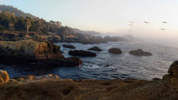 Misty day at Point Lobos State Natural Reserve Carmel-By-The-Sea CA Oct  