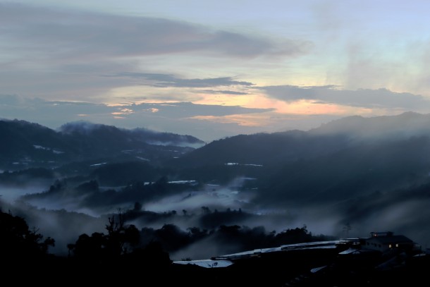 Misty morning at Cameron Highlands Malaysia 