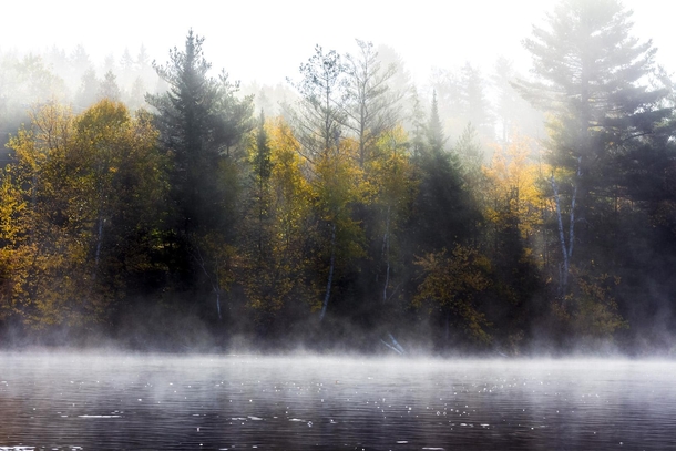 Misty Morning on the River NH 