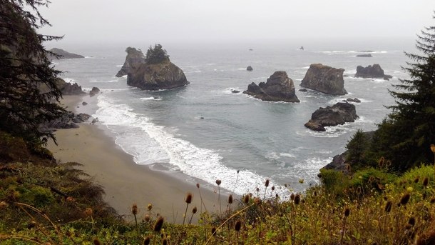 Misty Oregon Coast 