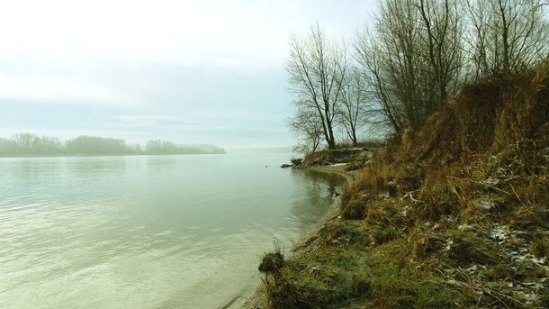 Misty winter morning at the Danube river in Bratislava Slovak republic  - Instagram johnnyreiofficial