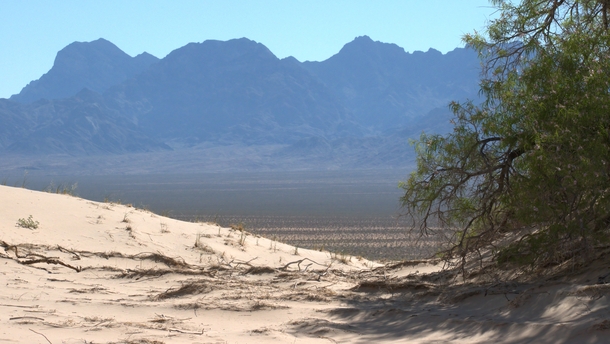 Mojave Desert California 