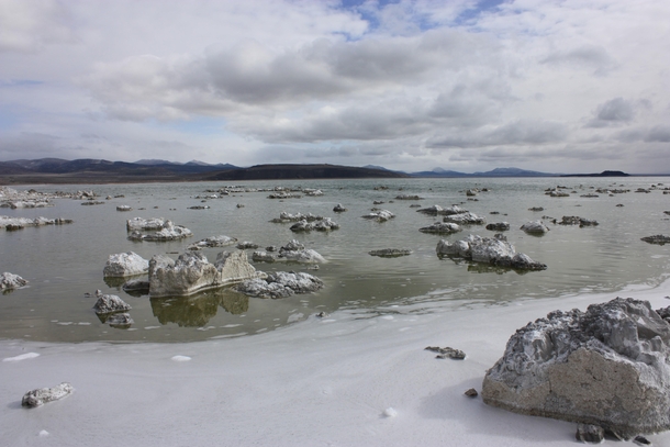Mono Lake a hypersaline soda lake in California with lots of limestone formations and endemic brine shrimp 