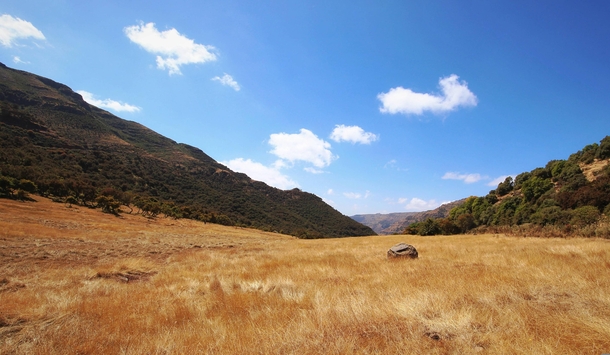Montane grassland can be found as high as  meters in the Ethiopian Highlands 
