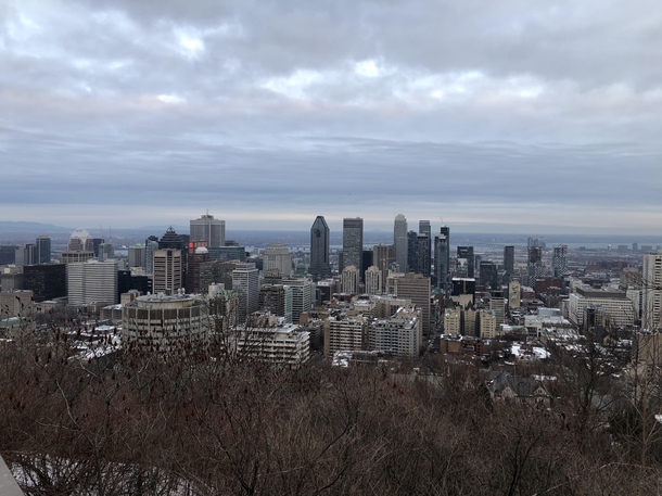 Montral during the winter from Mount Royal