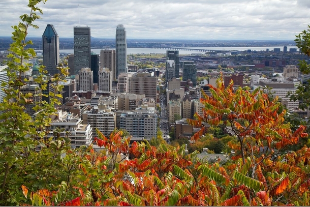 Montreal from the Mont Royal 
