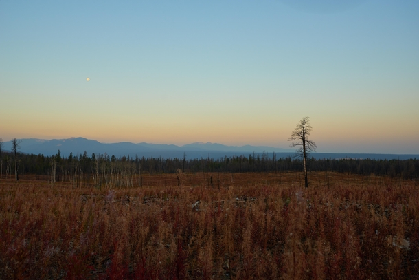 Moon disappearing over a recovering forest in the British Columbia Canada Wilderness 