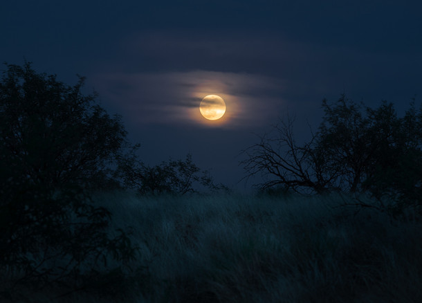 Moon Rise over the Southern Arizona grasslands Tucson AZ  andrewsantiago_