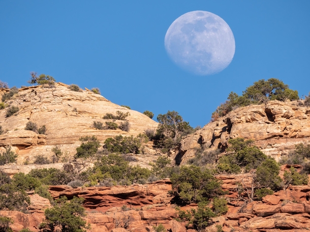 Moon rising behind the top of a mountain in Southern Utah 