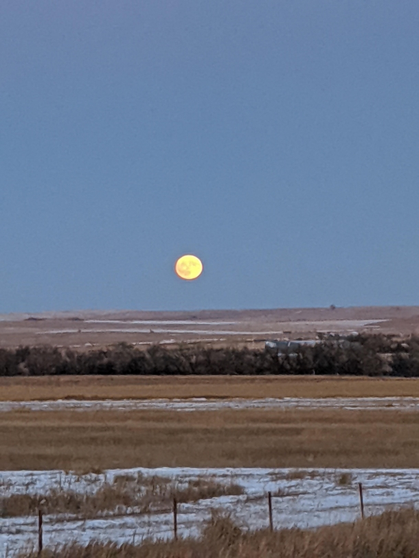 Moon rising over the Northeast Montana prairie