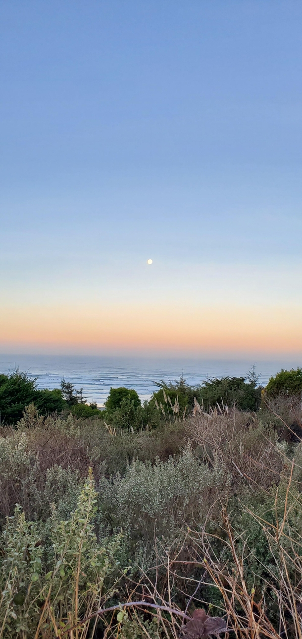 Moon set over the Pacific -  Feb     OC