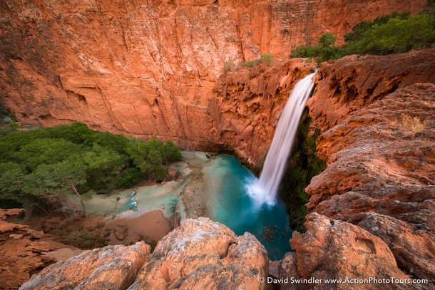 Mooney at mm Havasupai Falls Grand Canyon Arizona United States By David Swindler 