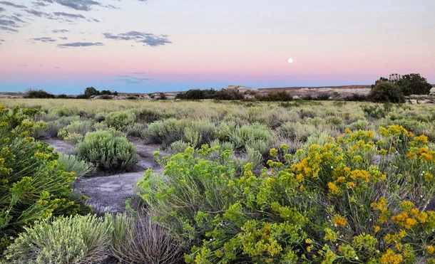 Moonrise in Petrified Forest National Park Arizona 