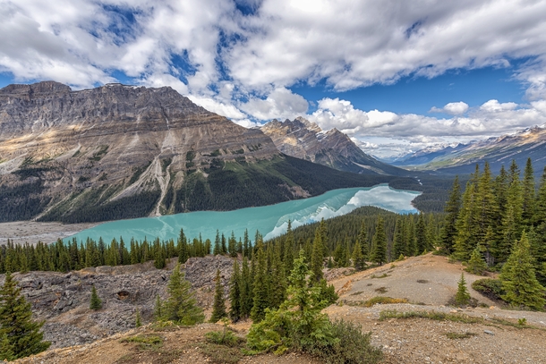 Moraine Lake isnt the only beauty in the area Peyto Lake Alberta 