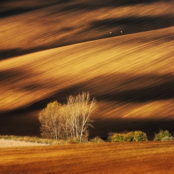 Moravian fields Czech Republic Photographer Pawel Kucharski