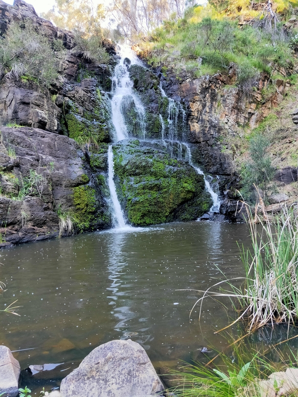 Morialta Falls SA Australia 