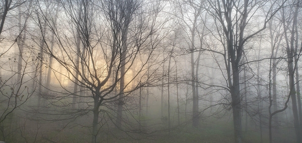 Morning fog Clarksville TN 