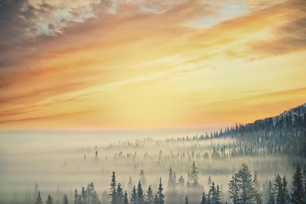 Morning fog in sunrise at a small mountain Trysil Norway x OC