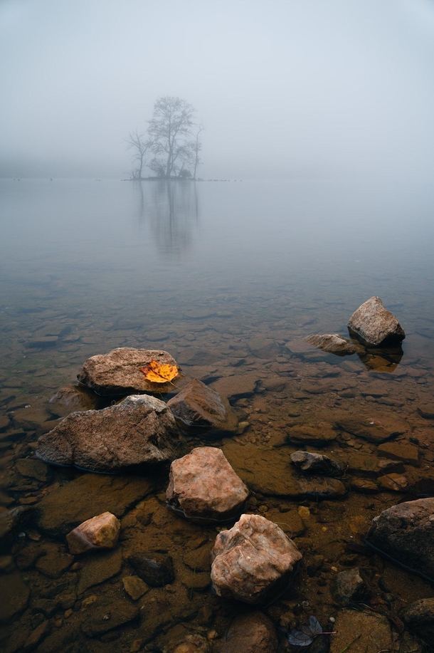 Morning Fog over Loch Raven Reservoir Baltimore MD 
