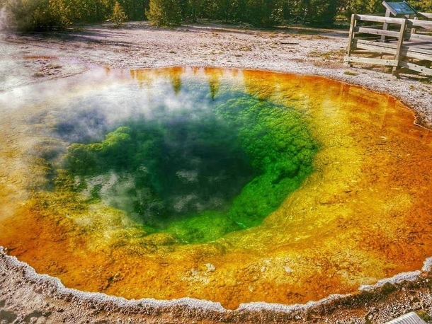 Morning Glory Pool Yellowstone is otherworldly 