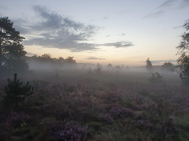 Morning Haze in Brabant The Netherlands 