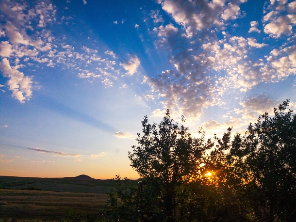 Morning in the East Kazakhstan region  x
