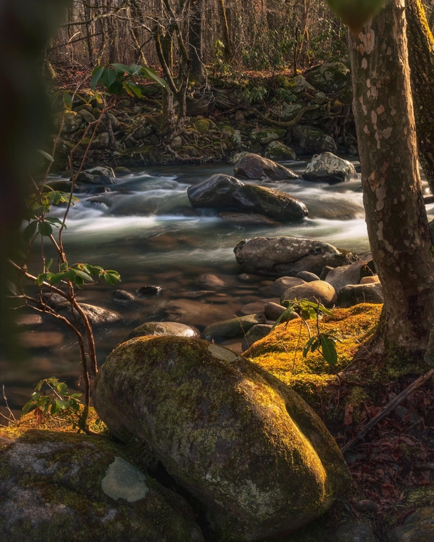 Morning light along the Pigeon River- Great Smoky Mountains National Park 