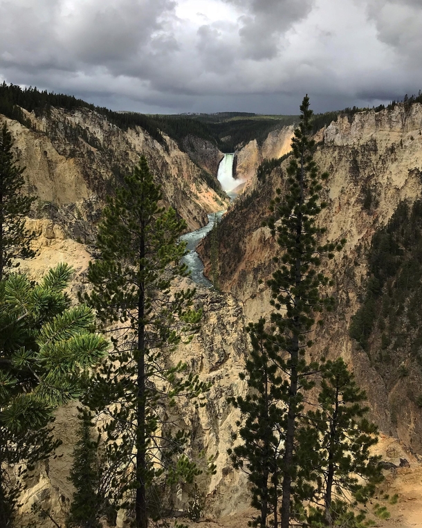 Morning light over a canyon in Yellowstone just after a storm 