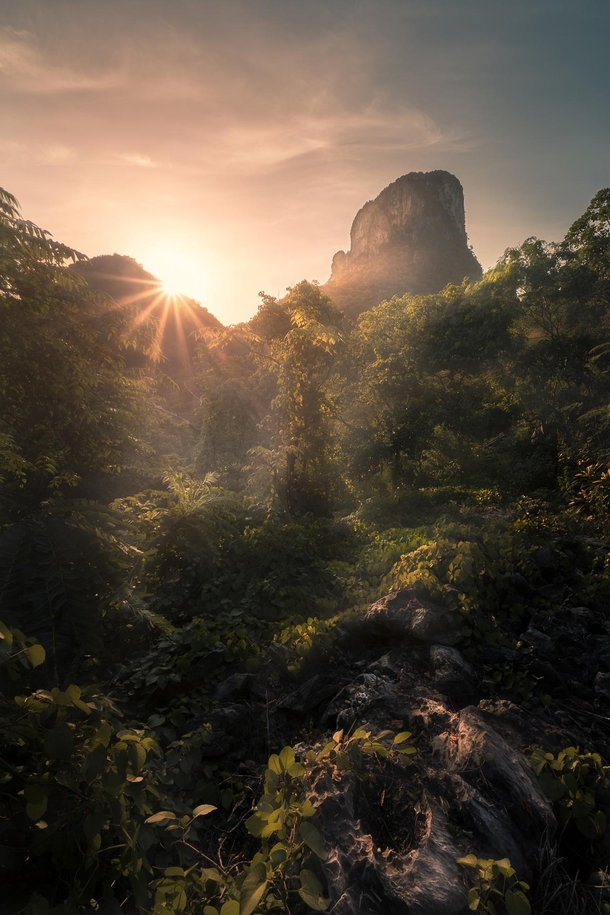 Morning Mist in the Jungles of Thailand in Lopburi 
