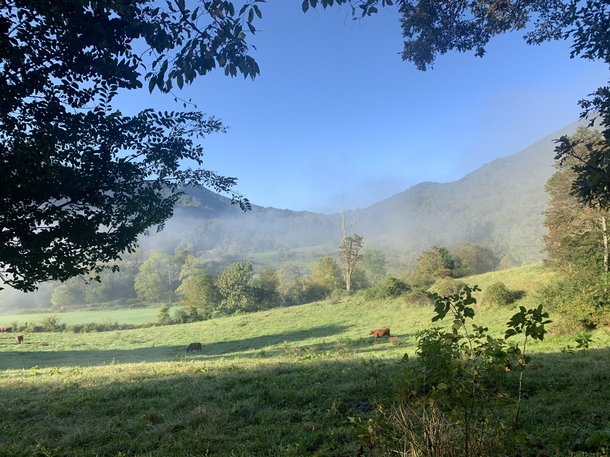 Morning views near Asheville NC
