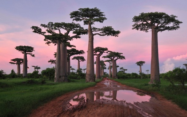 Morondova Madagascar 