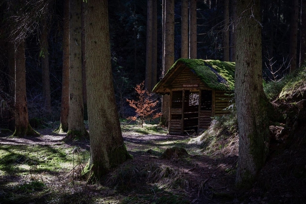 Moss-covered log cabin in the Black Forest of Germany 
